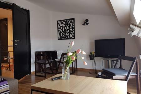 Apartament Svetogorska Tri Belgrad Zewnętrze zdjęcie